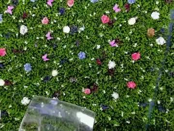 Freechat babyaylin on Chaturbate