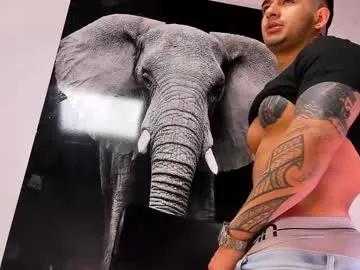 Freechat king_falconer on Chaturbate