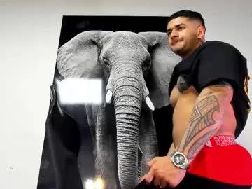 Freechat king_falconer on Chaturbate