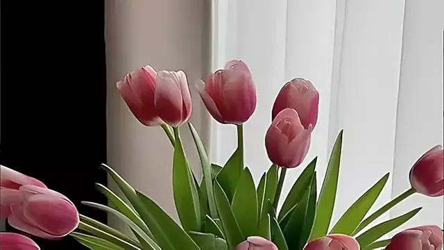 Freechat AlanaSofiia on StripChat