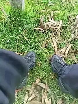 StripChat Cuervo_maniaco is Freechat Cuervo_maniaco — Public cum doggy pose full nude no sucks