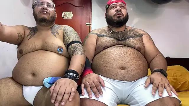 Freechat FetishBearsBig on StripChat