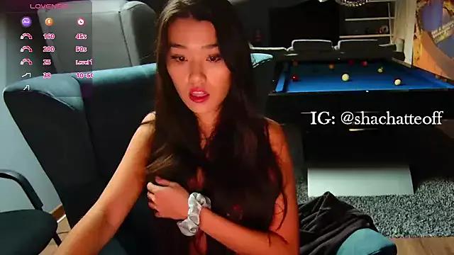 Freechat shachatteof on StripChat