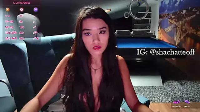 Freechat shachatteof on StripChat