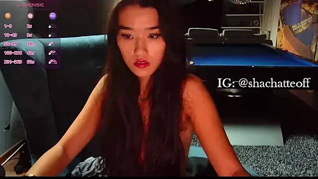 Freechat shachatteof on StripChat