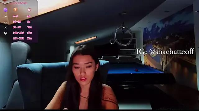 Freechat shachatteof on StripChat